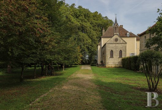 En Bourgogne, au sud de Beaune, un château affilié aux grands vignobles et à la permaculture - photo  n°5